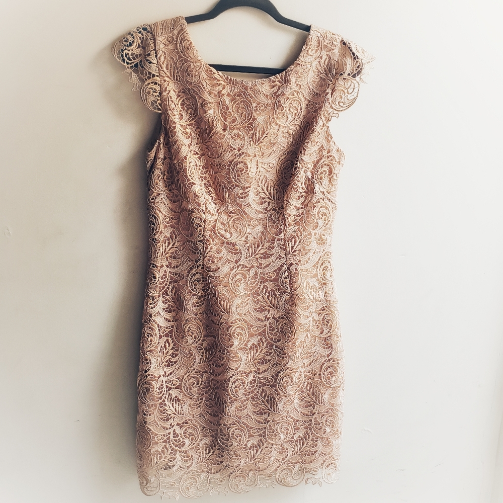 Laundry by Shelli Segal Dress